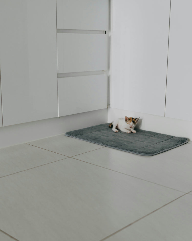 🐈 Cooling Mats - flairly